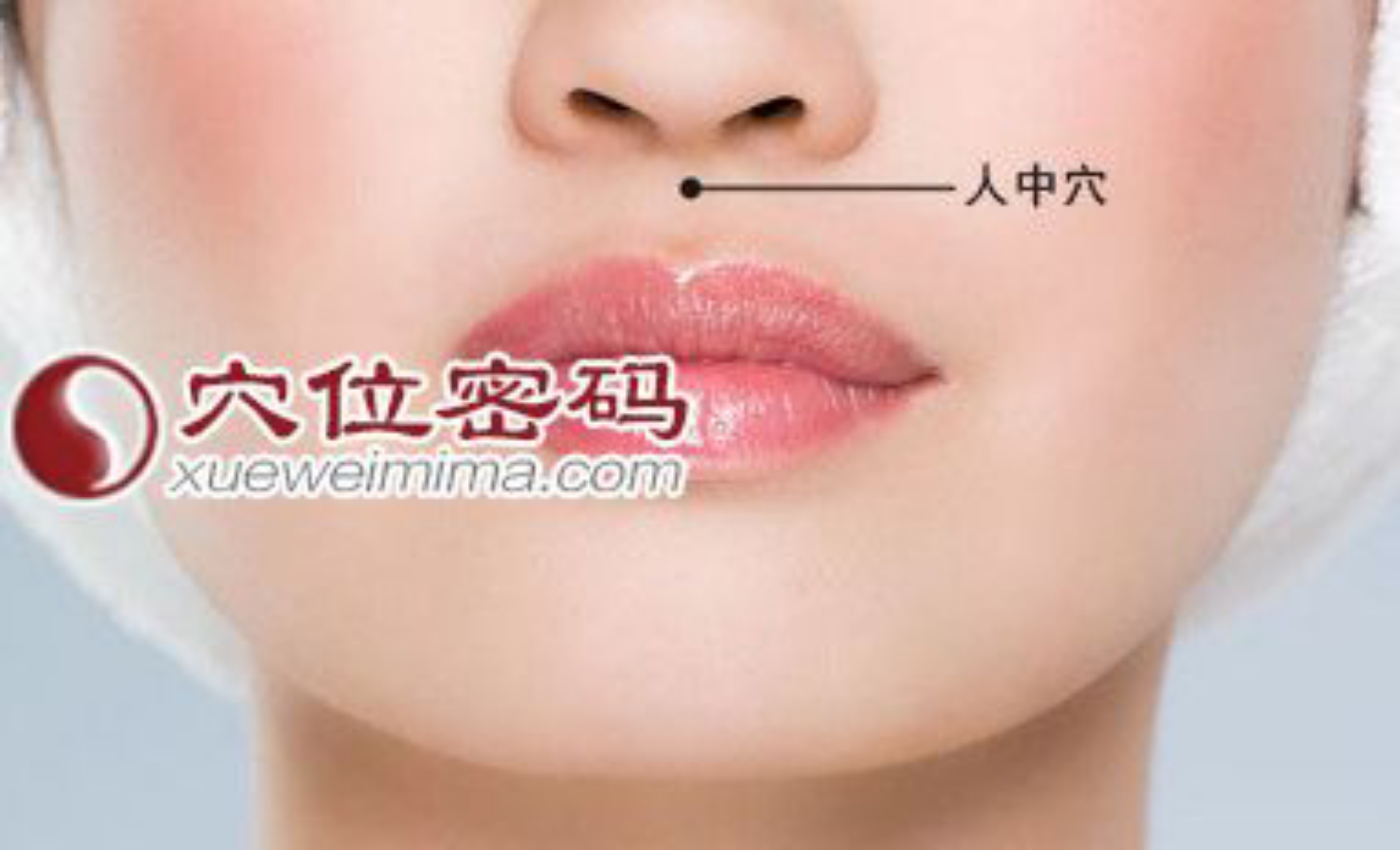 社博app_记录工作和生活